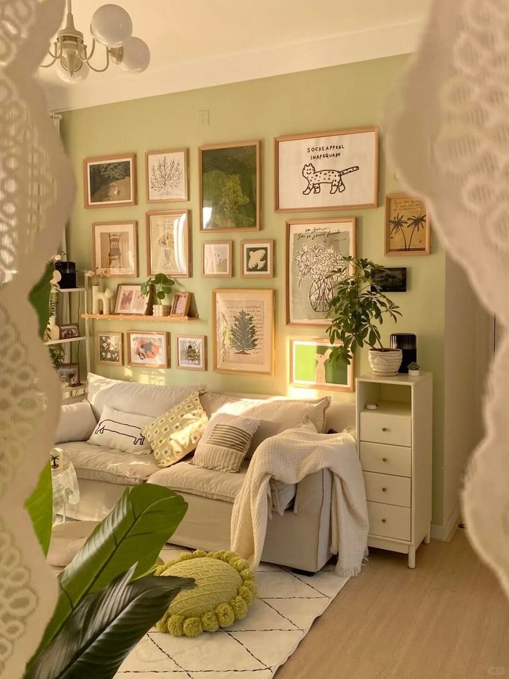 Mur vert sauge et plantes d’intérieur – rénovation et décoration à Strasbourg.