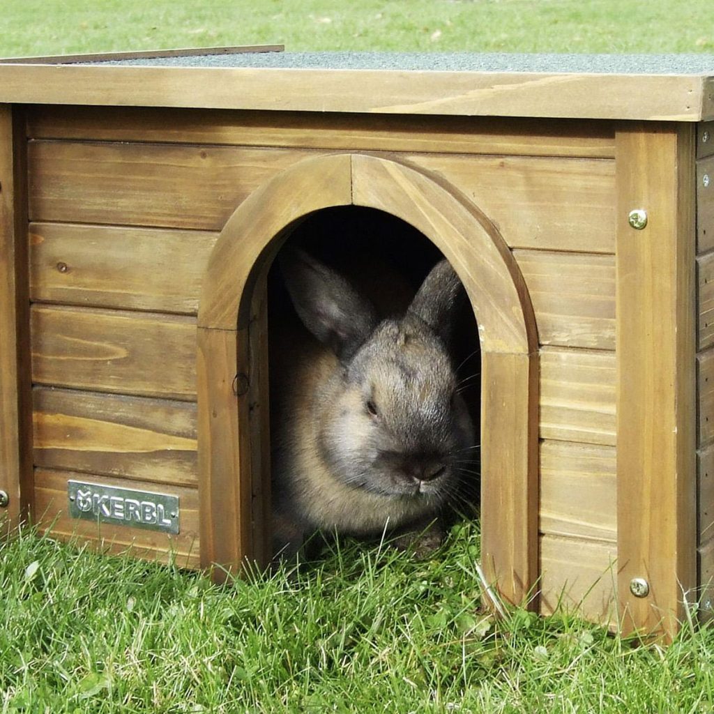 Un lapin brun se trouvant dans une cabane en bois dans un champ d'herbe.